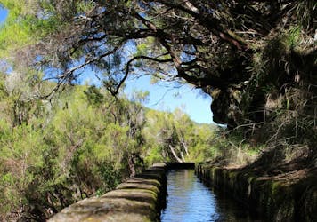 Full-day guided hike along the Levada das 25 Fontes